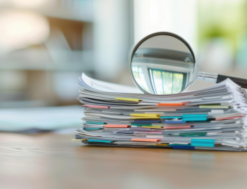 Digital Solutions Company – Audit & Statement Preparation – Case Study