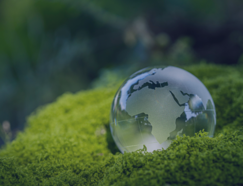 Why ESG Metrics Matter More Than Ever & How Finance Teams Are Leading the Way